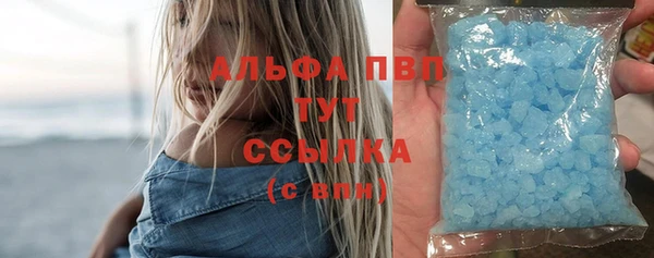 крисы Тайга