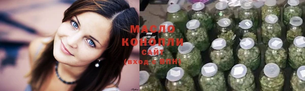 крисы Тайга